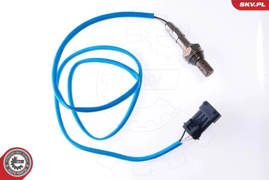 Oxygen Sensor